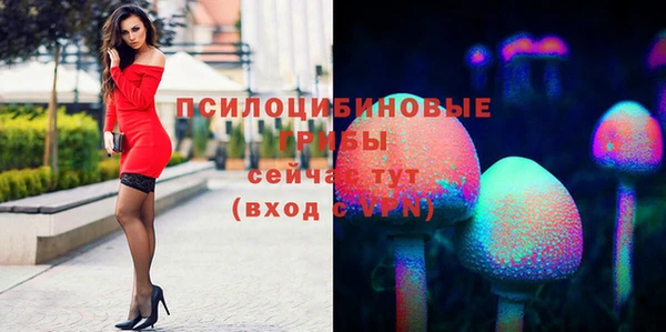 соль курить ск Армянск