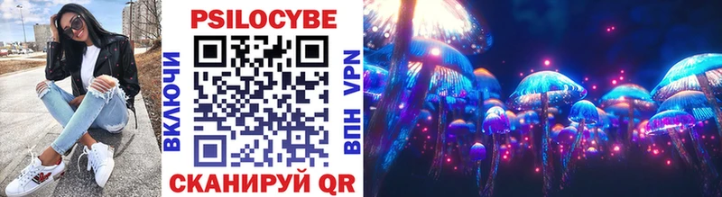 Галлюциногенные грибы Psilocybe  Купить закладки  Малоярославец 